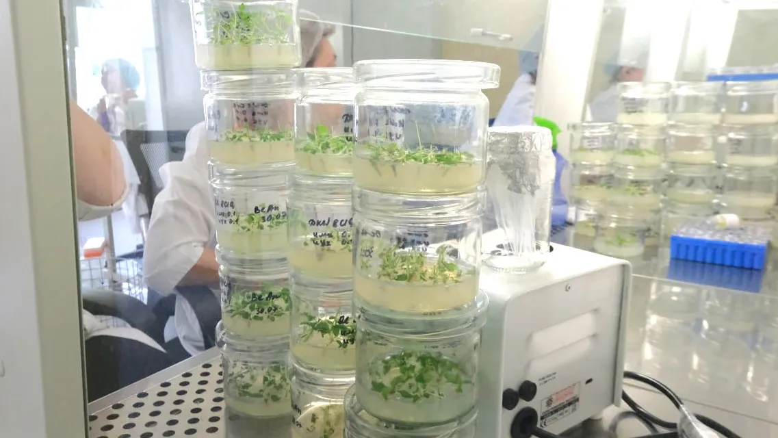 Фото: пресс-служба Администрации г. Пущино/Мария Панина