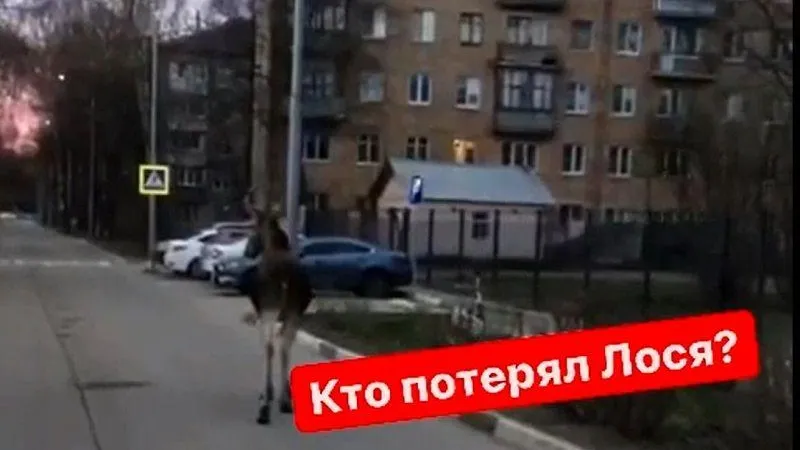 Подслушано Балашиха / ВКонтакте