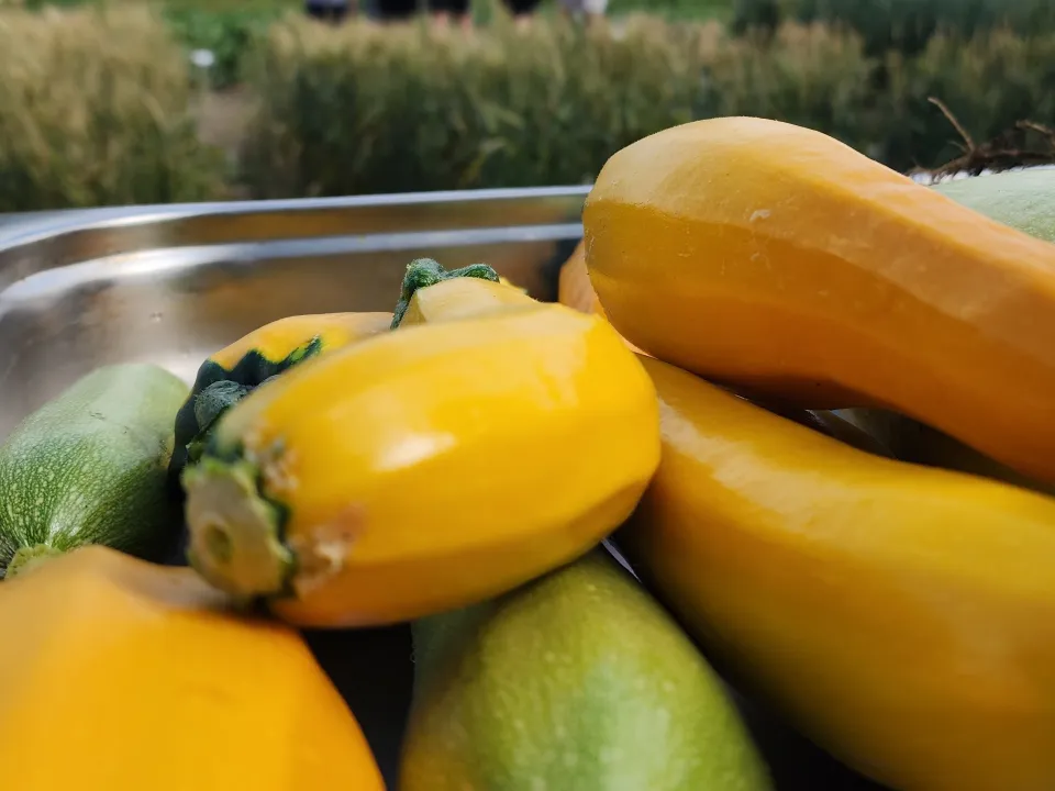 Фото: МедиаБанк Подмосковья/Андрей Семибратов