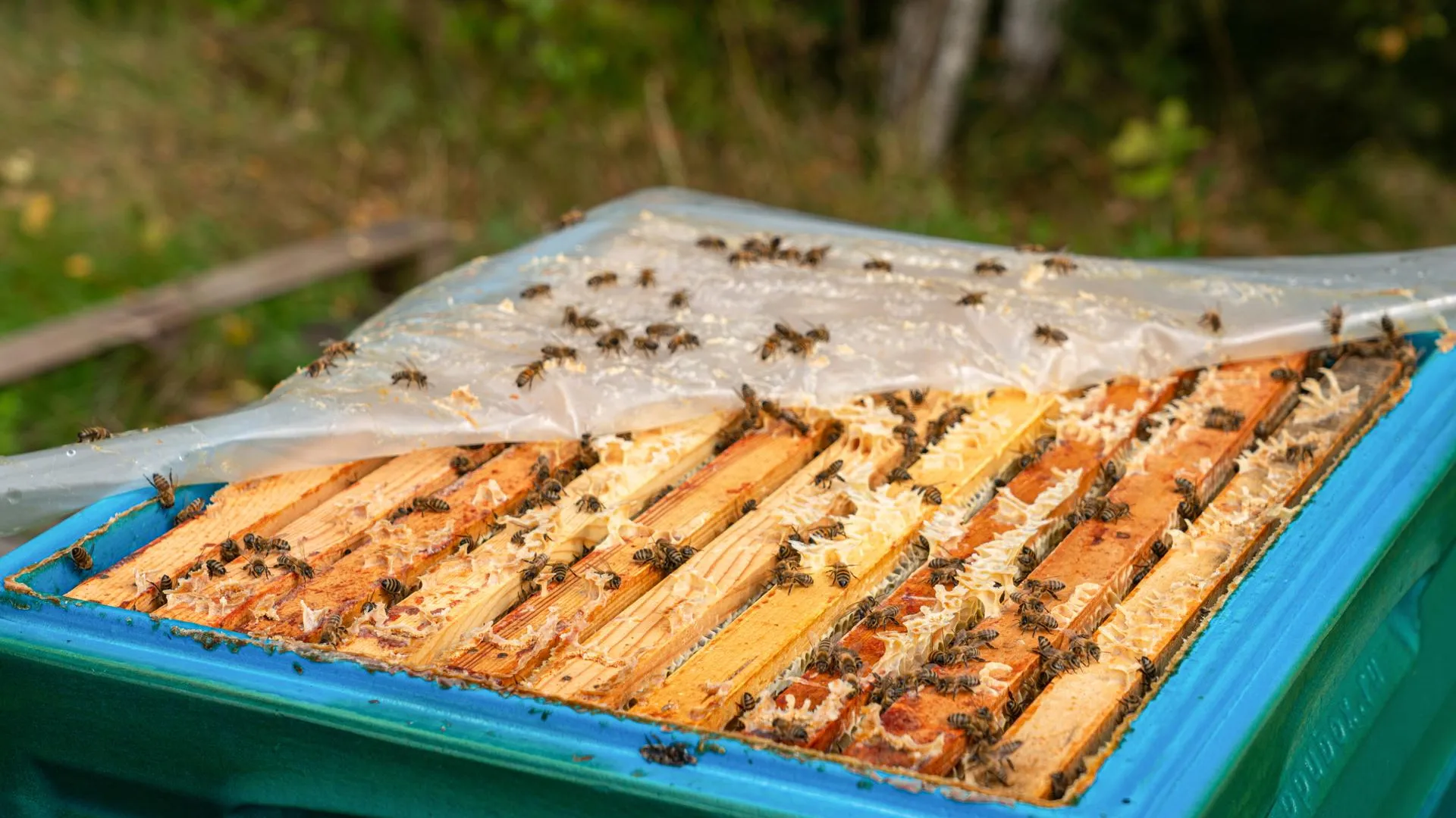 медиасток.рф