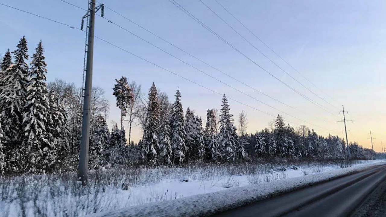 REGIONS/Анастасия Малышенко