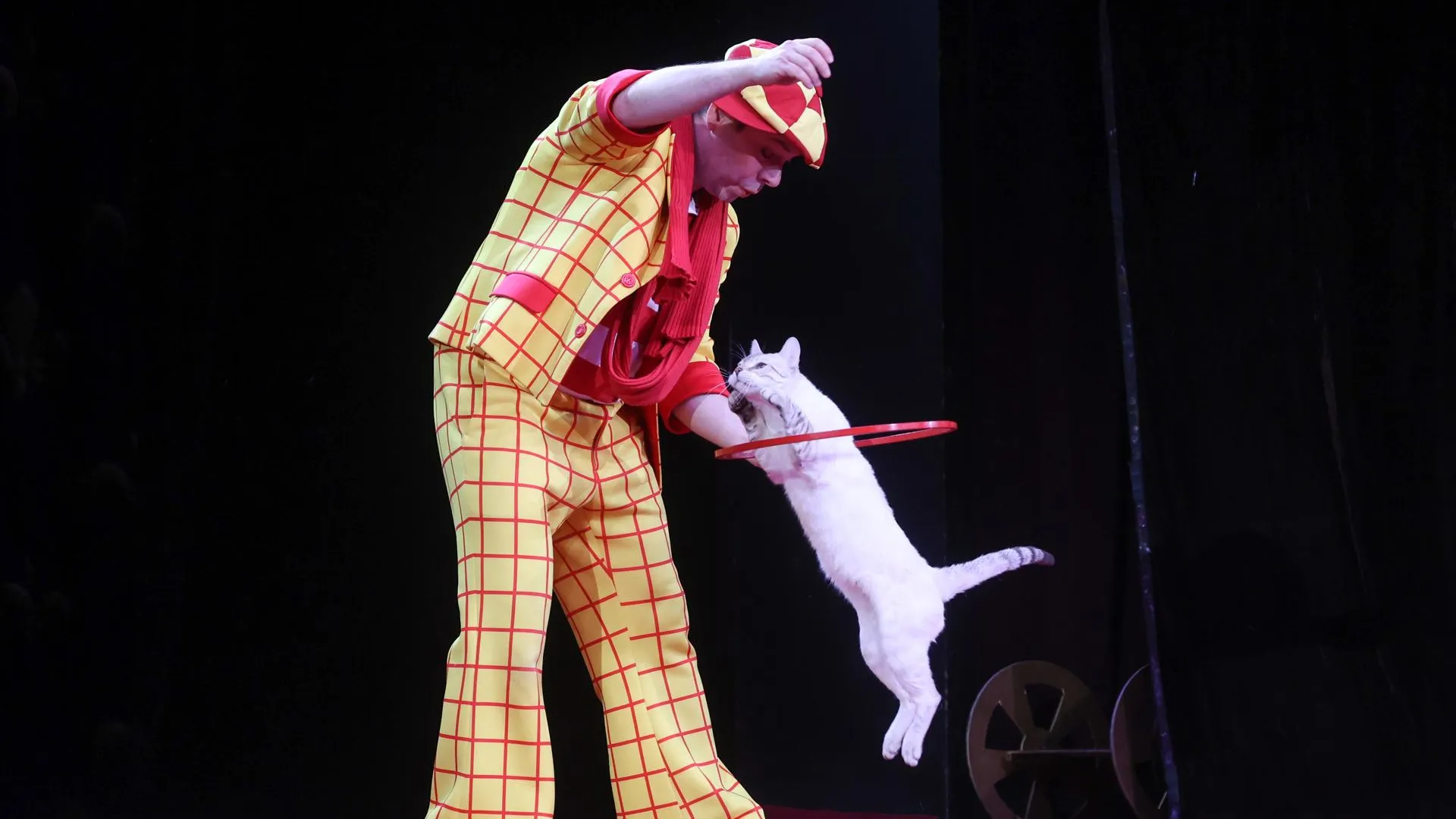 Petrov Sergey/news.ru