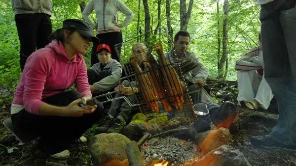 Шесть мест для пикников определили в парке «Лосиный Остров»