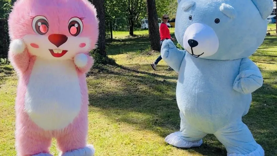 Фото: КЦСОИР Орехово-Зуевский