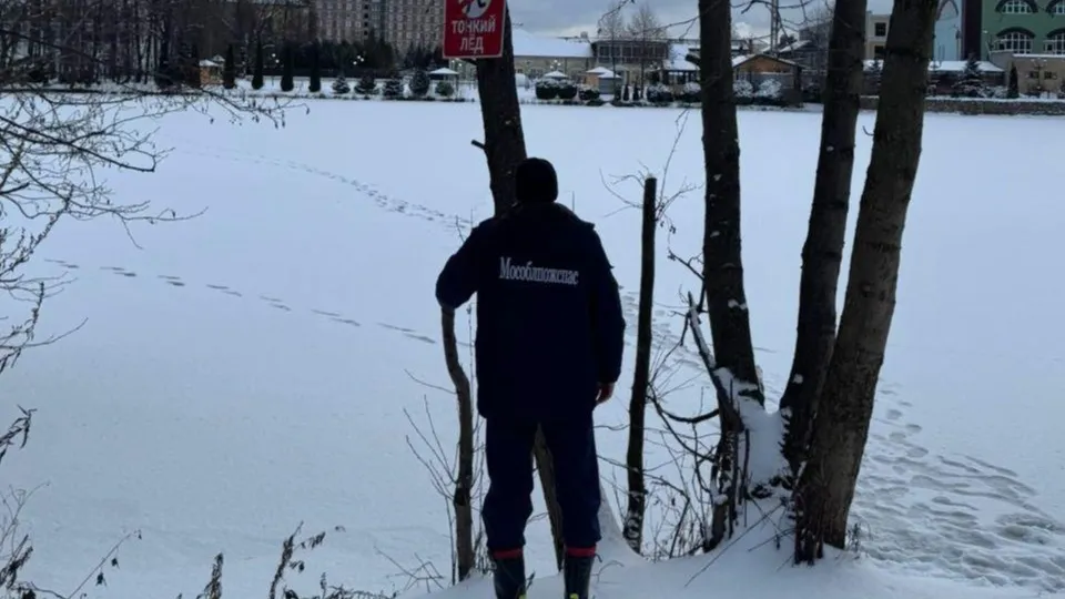 Фото: ГКУ МО «Мособлпожспас»