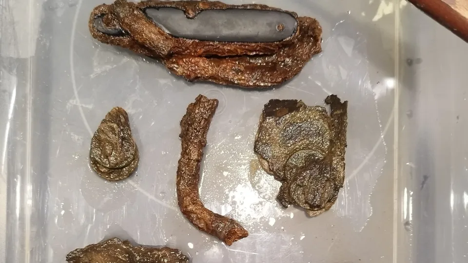 Фото: Егор Черналов