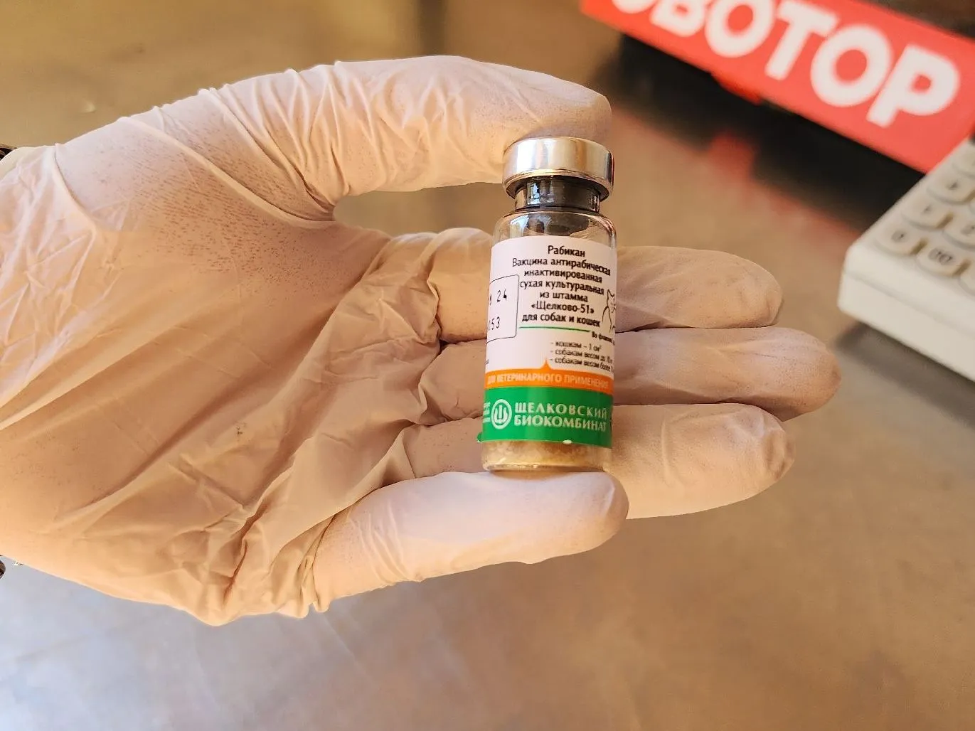 Фото: МедиаБанк Подмосковья/Ксения Пашуто