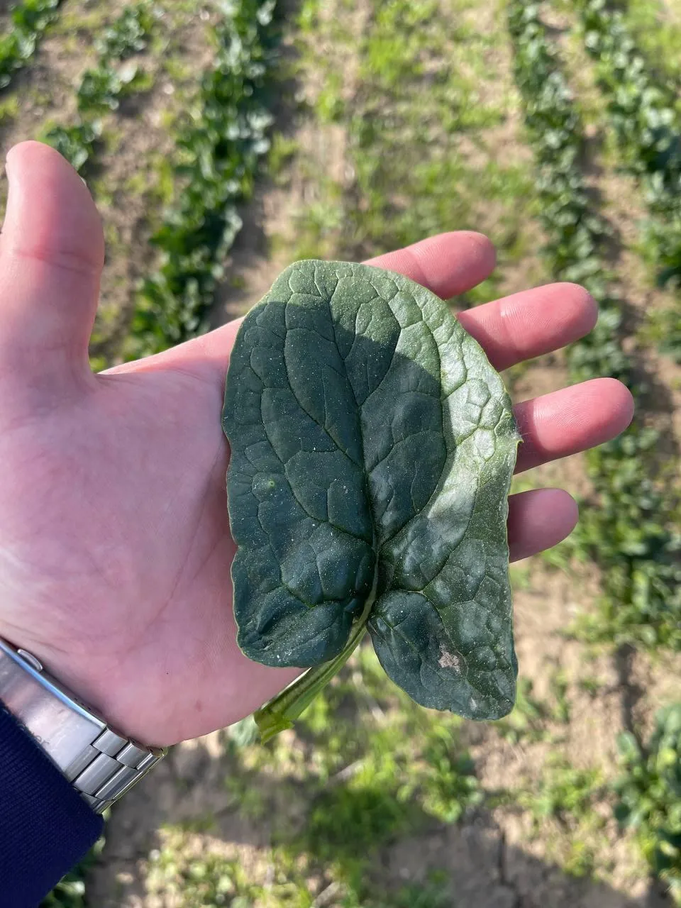 Фото: Андрей Семибратов