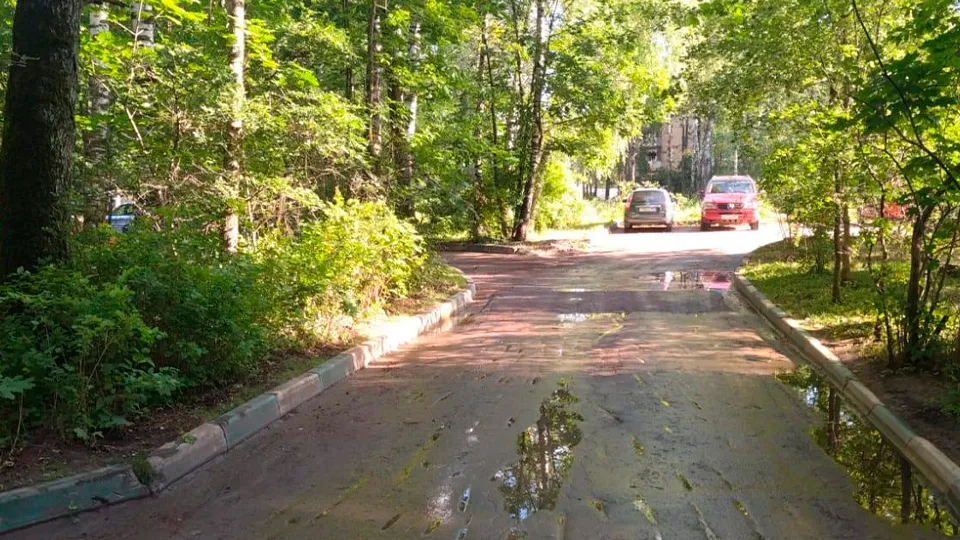 Фото: пресс-служба администрации г.о. Солнечногорск