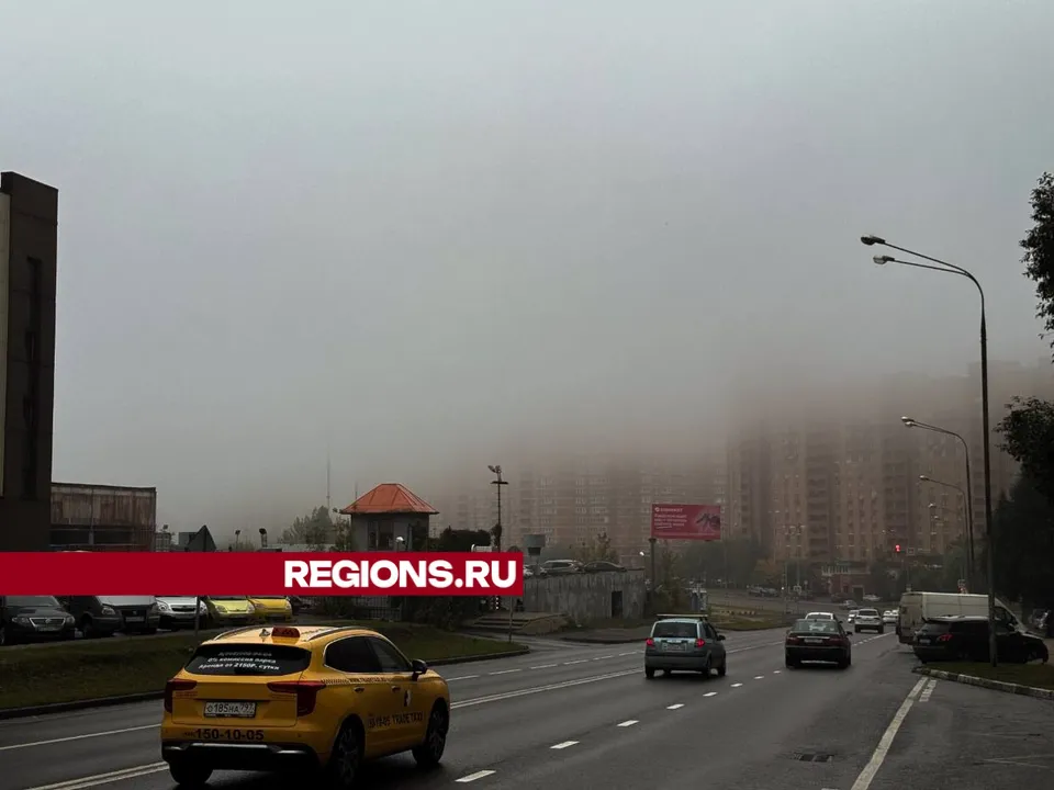 Фото: Михаил Моисеев