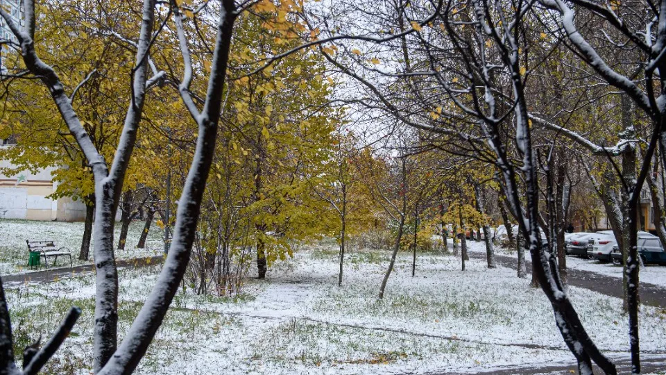 Фото: медиасток.рф