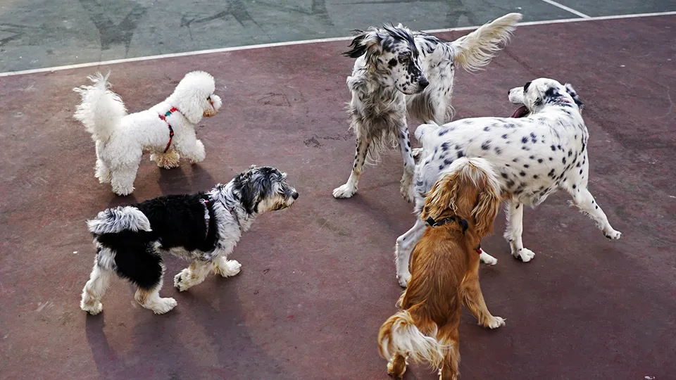 Фото: istockphoto.com/coolimagesco