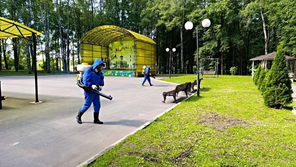 Фото: пресс-служба администрации Волоколамского м.о.