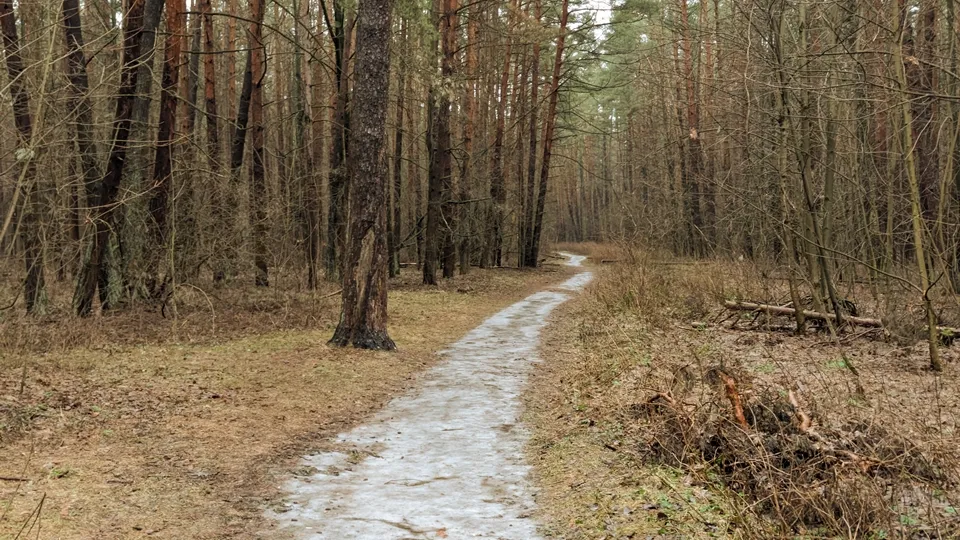 Фото: REGIONS/Алексей Селиверстов