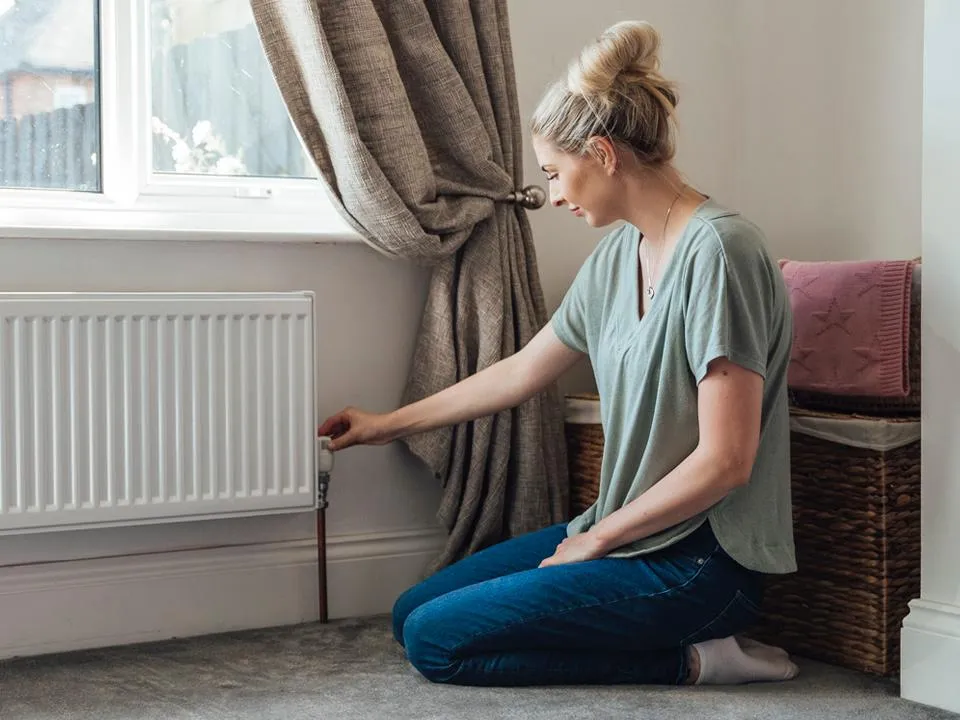 Фото: istockphoto.com/SolStock