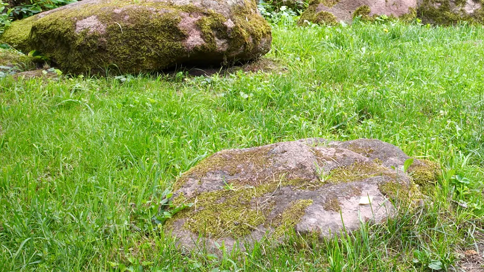 Фото: istockphoto.com