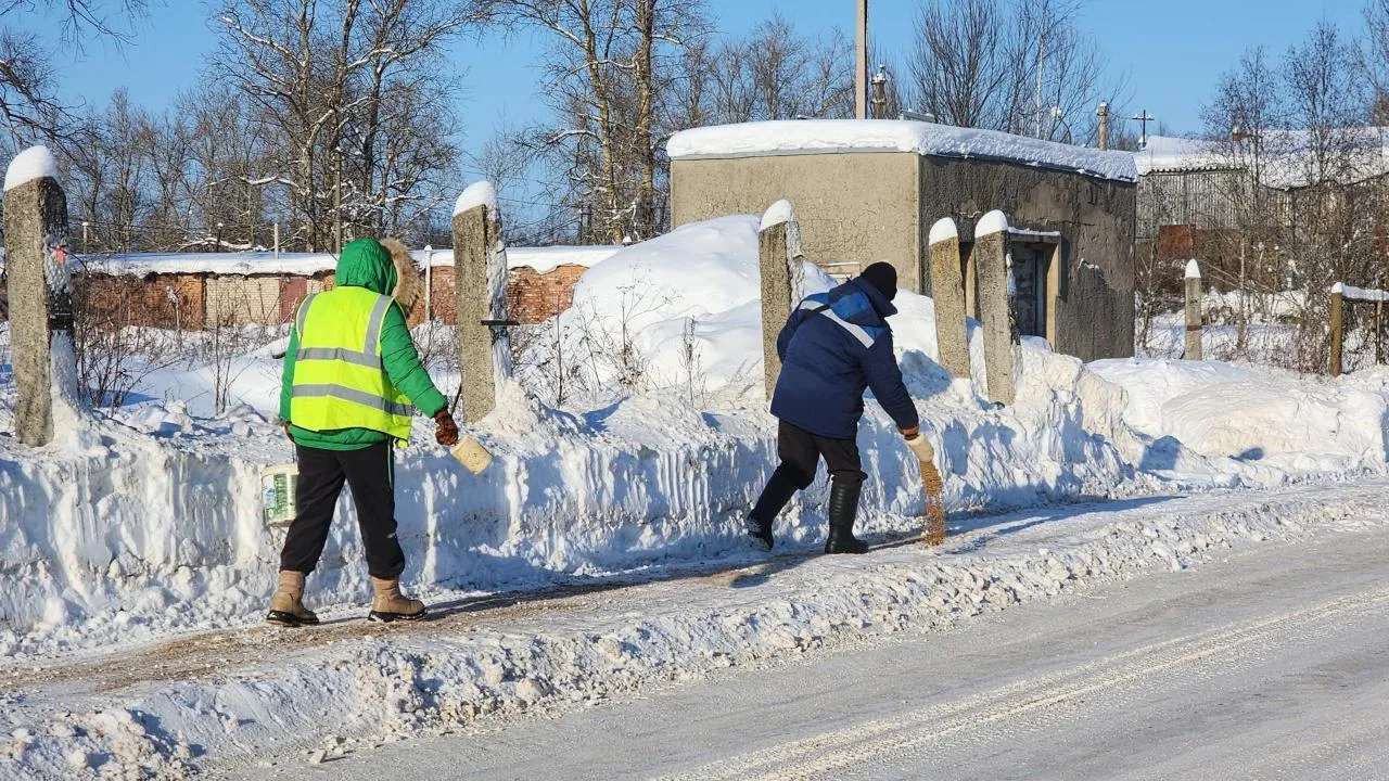 МедиаБанк Подмосковья/Дмитрий Беденко