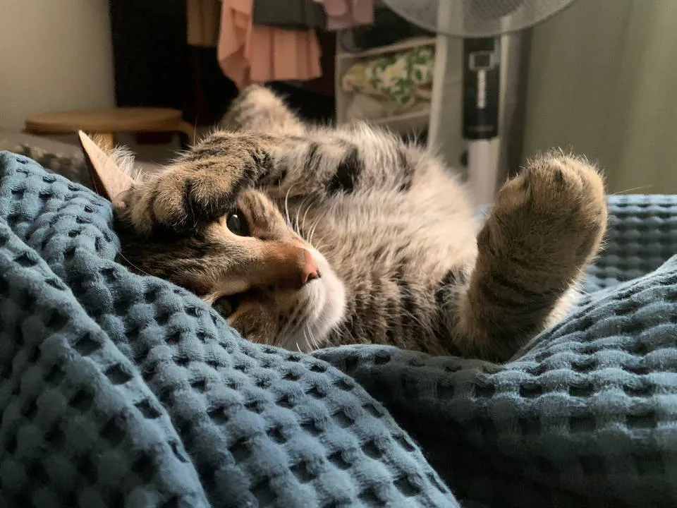 Фото: Андрей Семибратов<br>