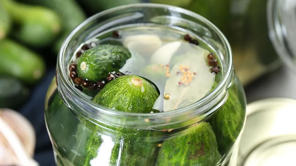 Фото: istockphoto.com