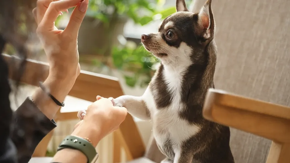 Фото: freepik.com