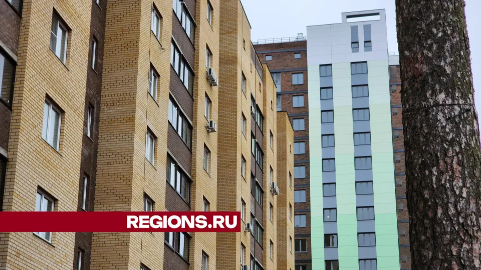 Фото: Арина Кузнецова