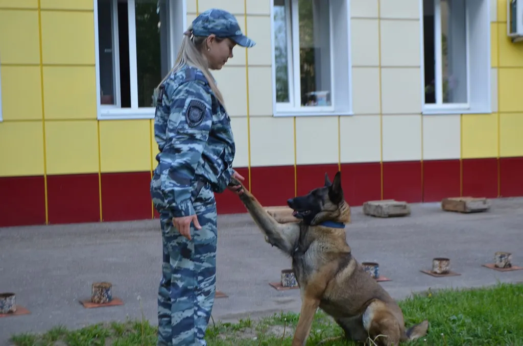 Фото: Наро-Фоминская полиция&nbsp;