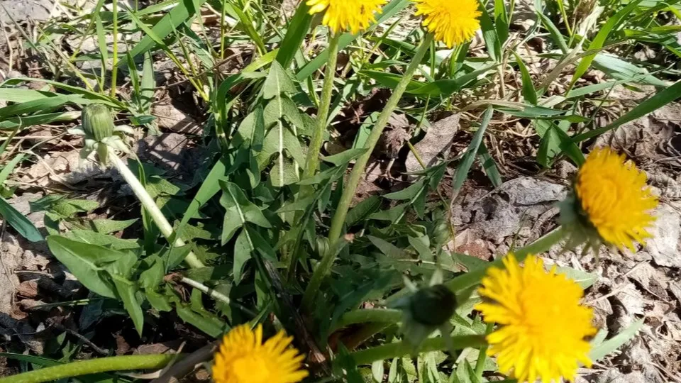 Фото: Елена Быховская