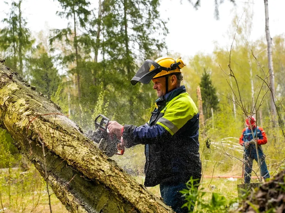 Фото: пресс-служба губернатора и правительства Московской области/Александра Степанова
