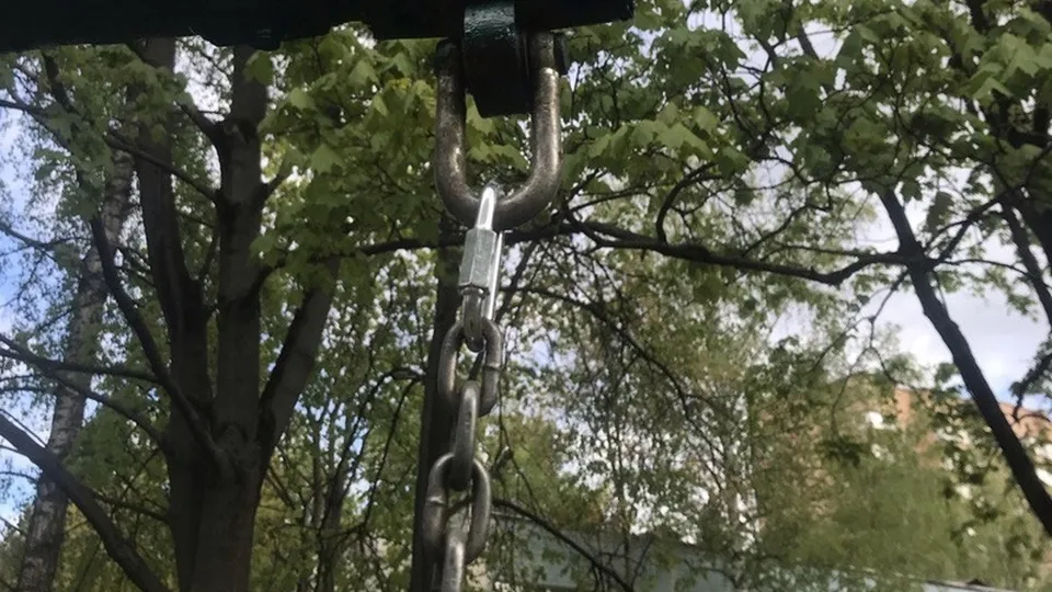 Фото: МЦУР Одинцовского городского округа