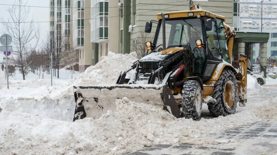 Фото: пресс-служба администрации г.о. Химки