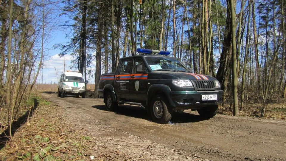 Фото: пресс-служба администрации г.о. Балашиха