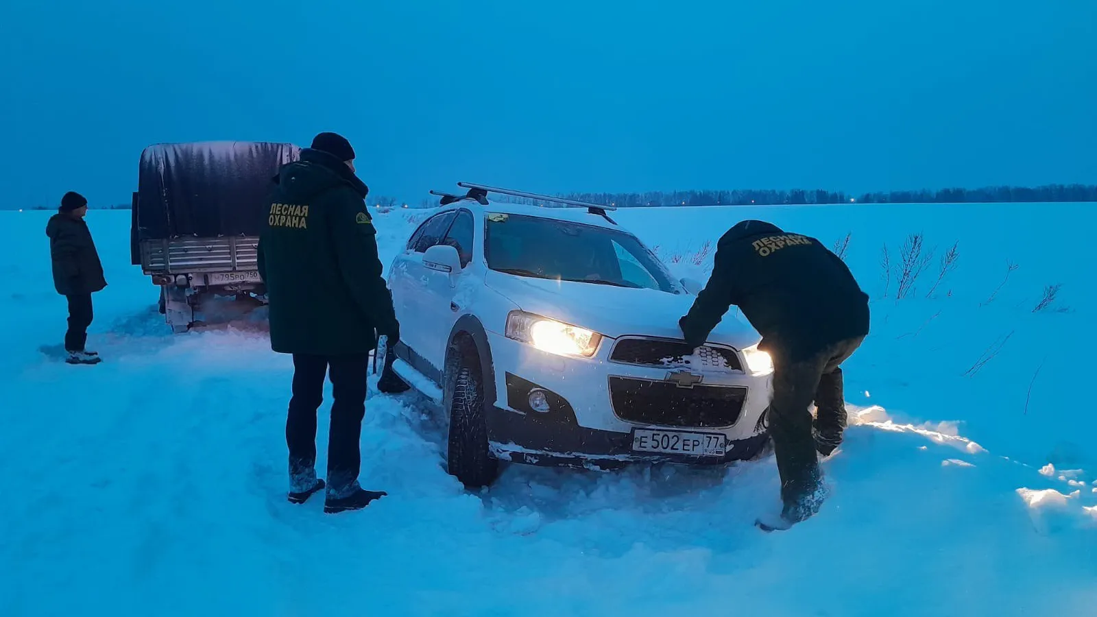 Фото: Комитет лесного хозяйства Московской области