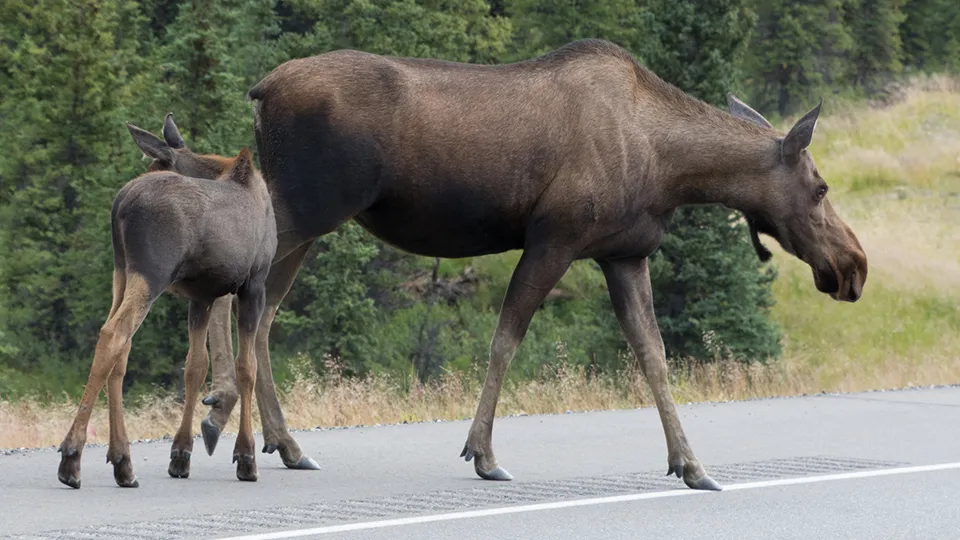 Фото: istockphoto.com
