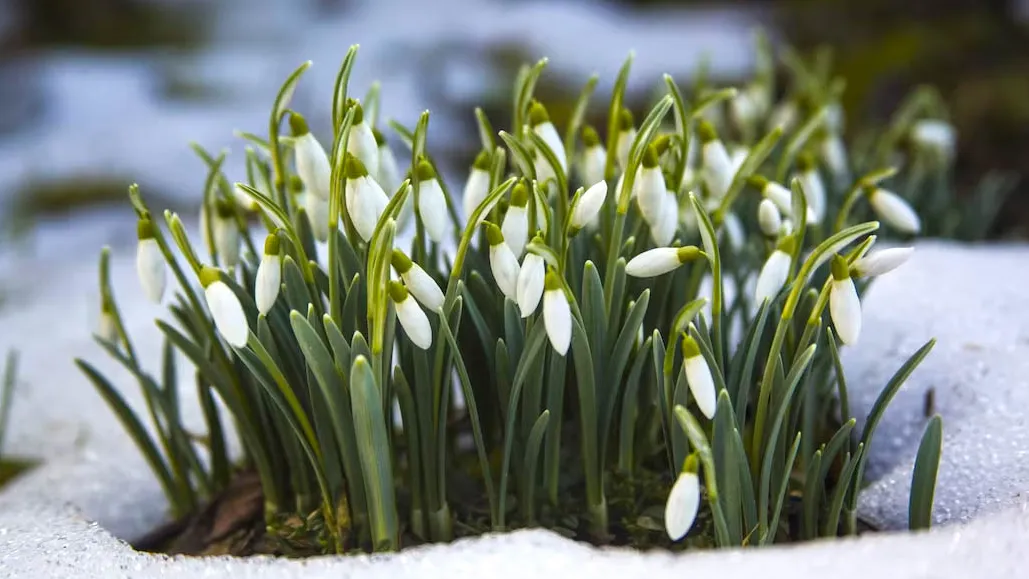 Фото: freepik.com