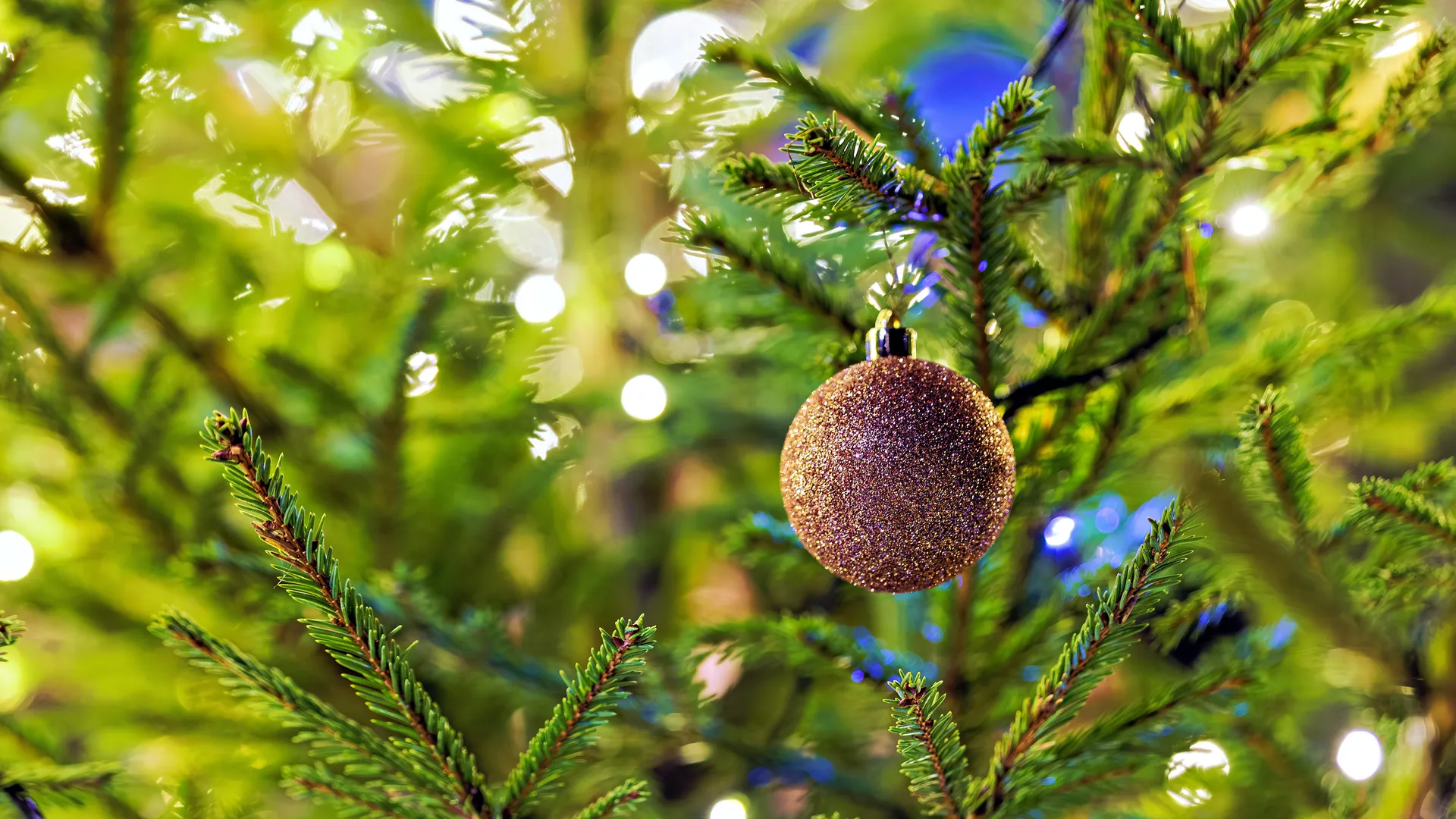 Вынужденное веселье: психолог объяснила, почему Новый год — счастливый праздник не для всех