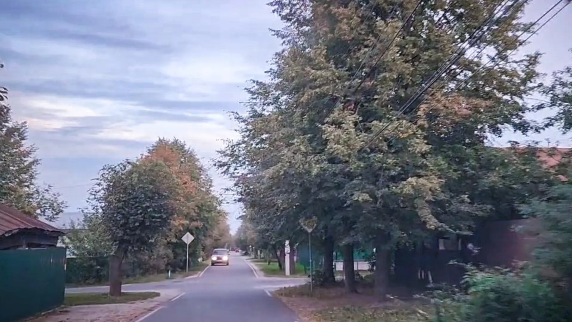 Фото: Медиабанк Подмосковья/Ольга Антонова