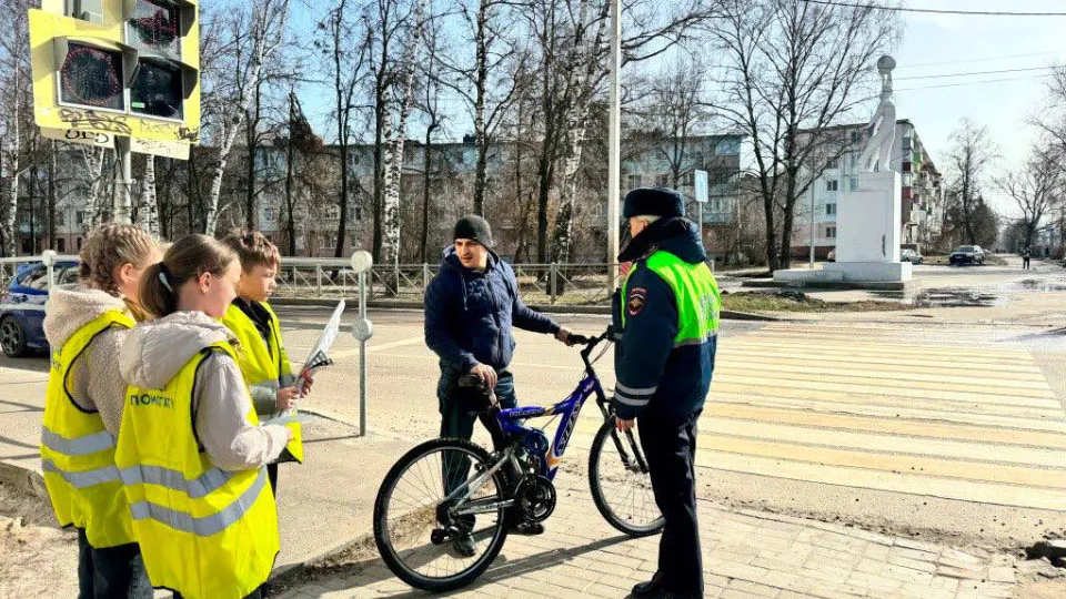 Фото: Госавтоинспекция Московской области