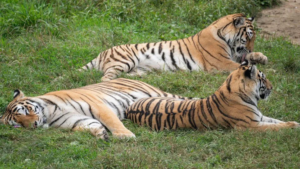 Фото: медиасток.рф