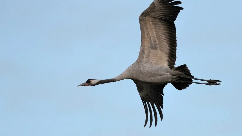Фото: Евгений Рой