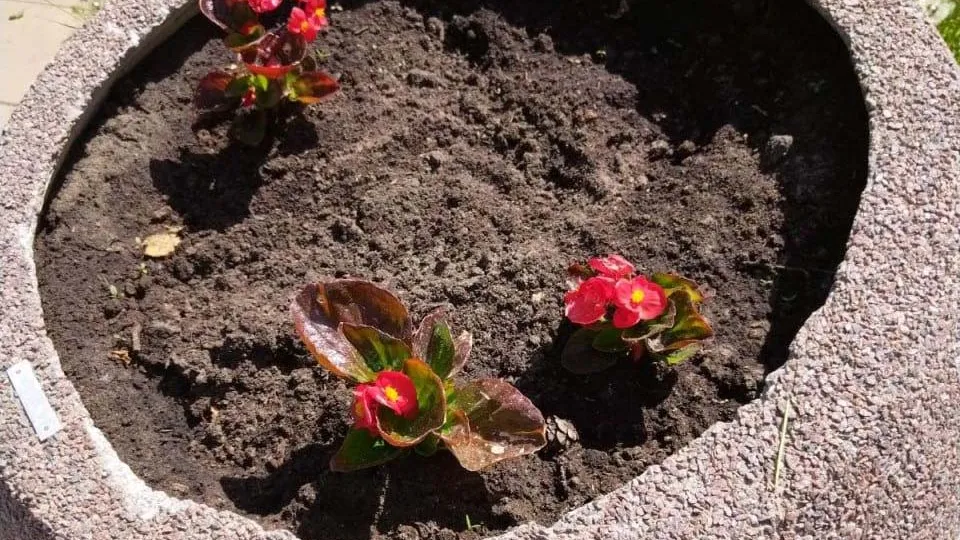 Фото: vk.com/Рошаль Крестов Брод