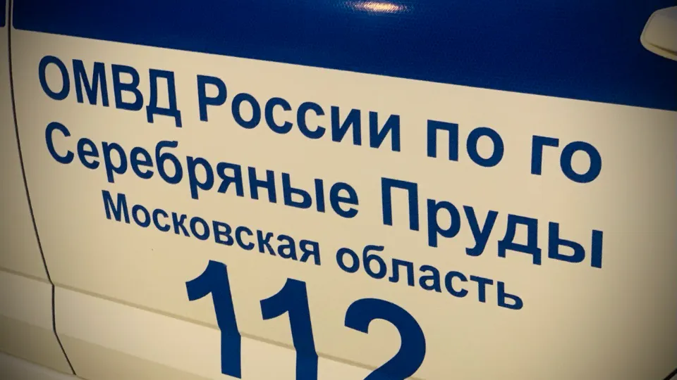 Фото: Госавтоинспекция г.о. Серебряные Пруды