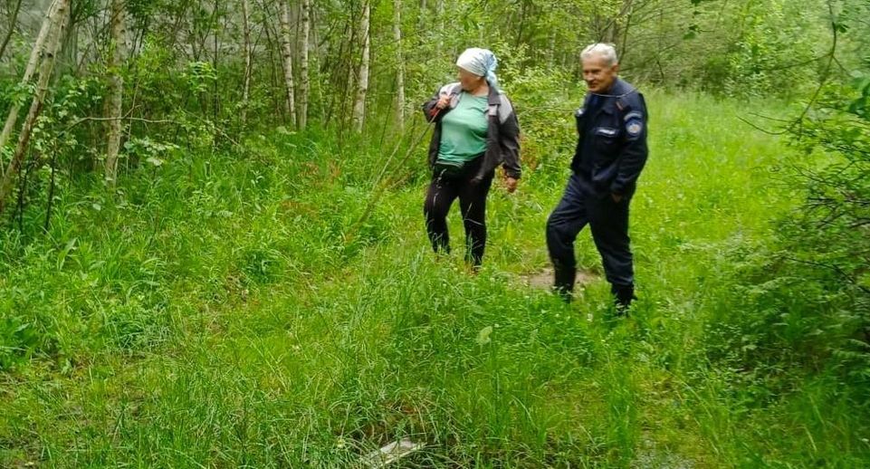 Заблудившуюся в лесу пенсионерку спасли возле поселка Черусти