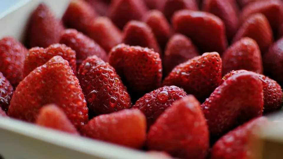 Фото: unsplash.com