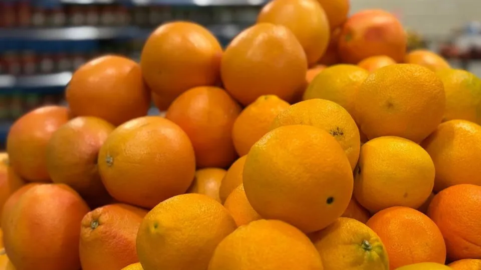 Фото: REGIONS/Полина Крачун