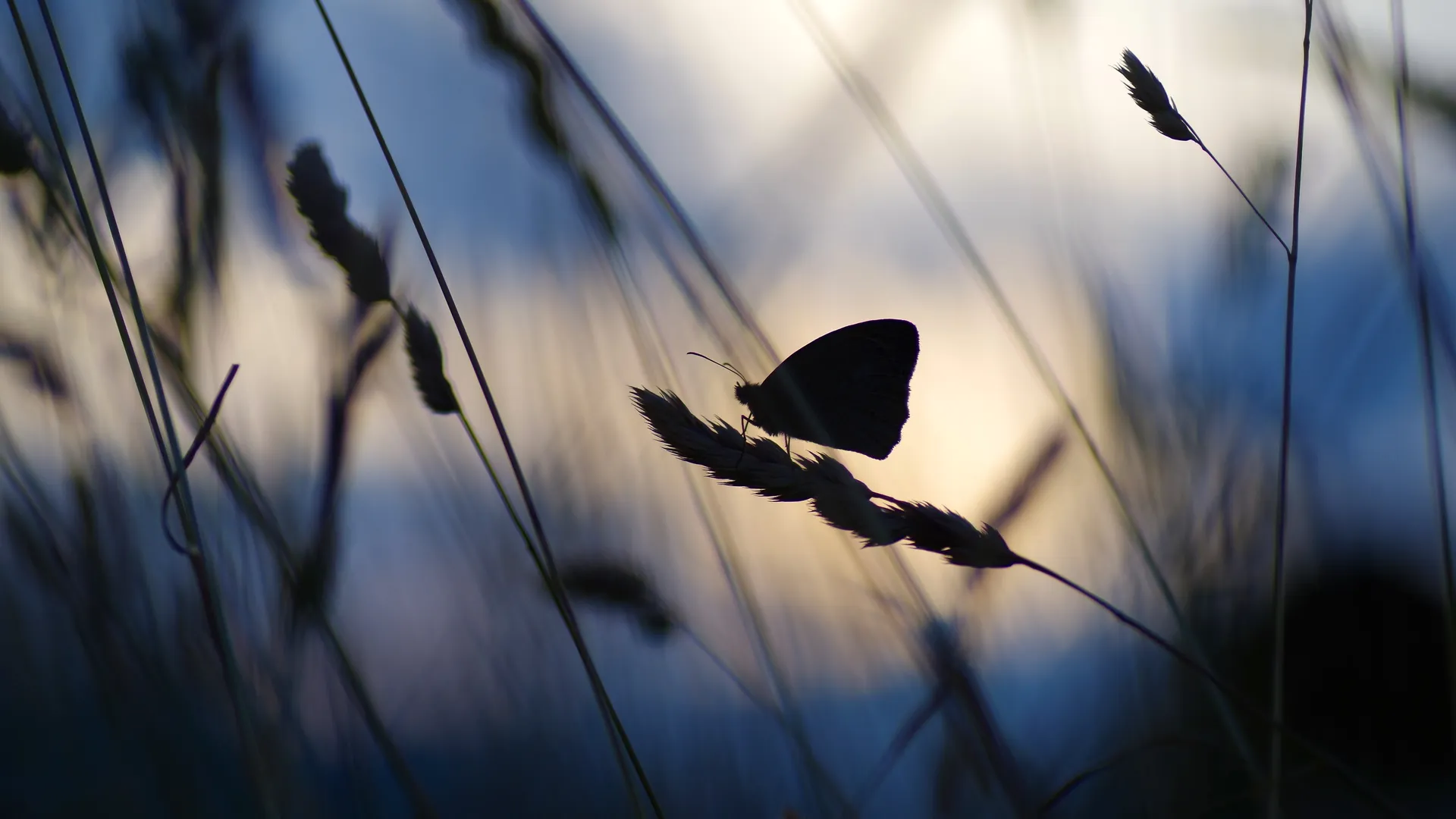 Фото: pxhere.com