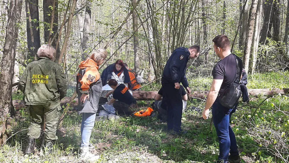 Фото: Комитет лесного хозяйства Московской области