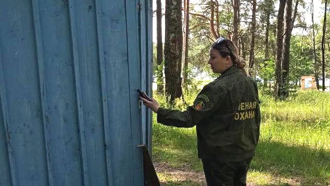 Фото: Комитет лесного хозяйства Московской области