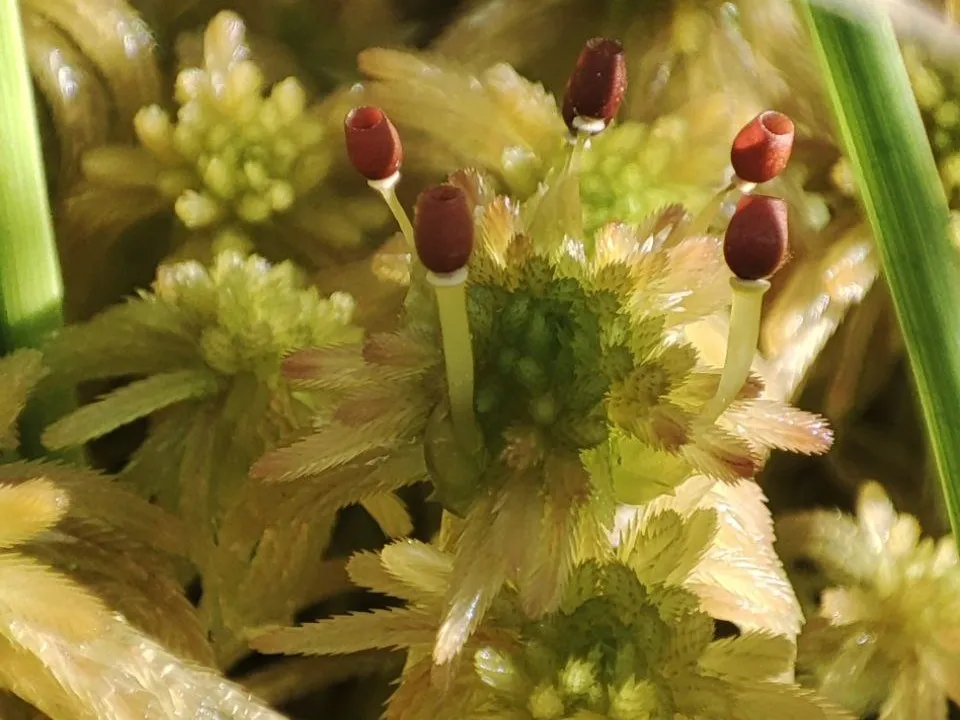 Фото:  Анна Карташева