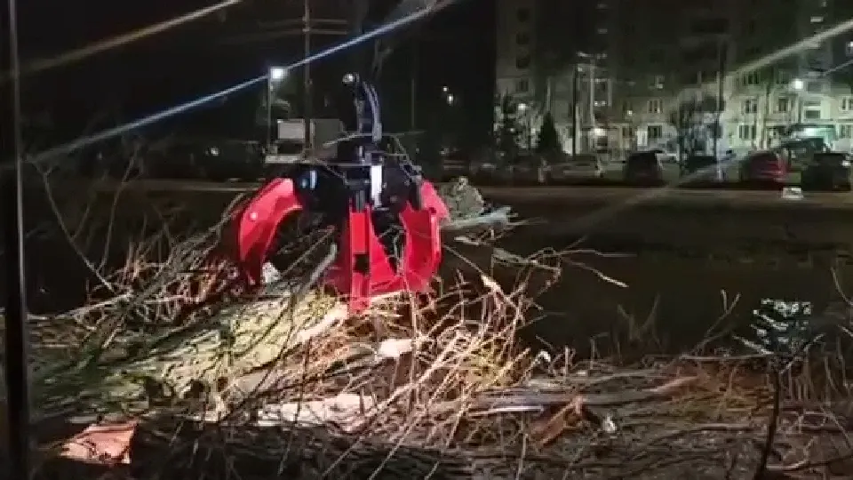 Фото: пресс-служба администрации г.о. Дмитров