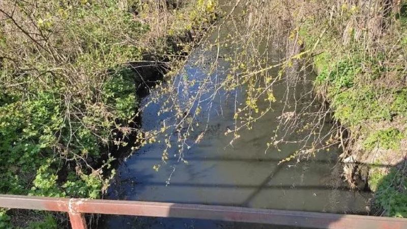 Фото Минэкологии МО.